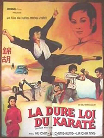 La Dure Loi du Karate