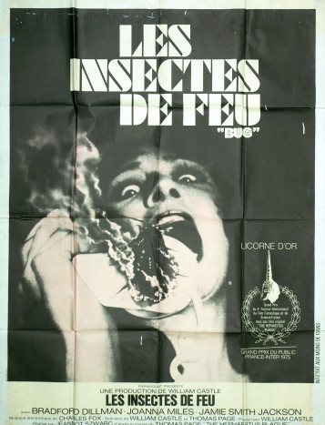 Les Insectes de Feu