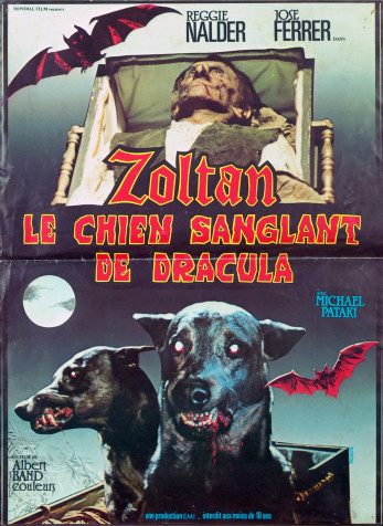 Zoltan, le chien de Dracula