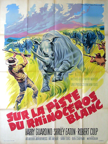 Sur la Piste du Rhinocéros Blanc