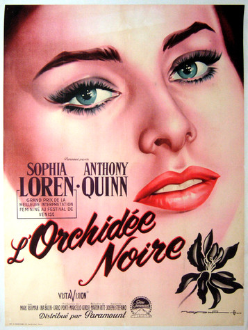 L'Orchidée noire