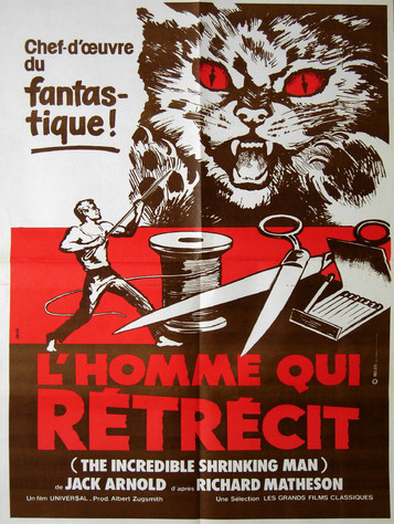 L'Homme qui rétrécit