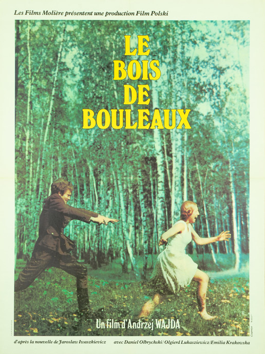 Le Bois de Bouleaux