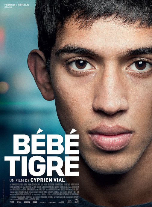 Bébé tigre