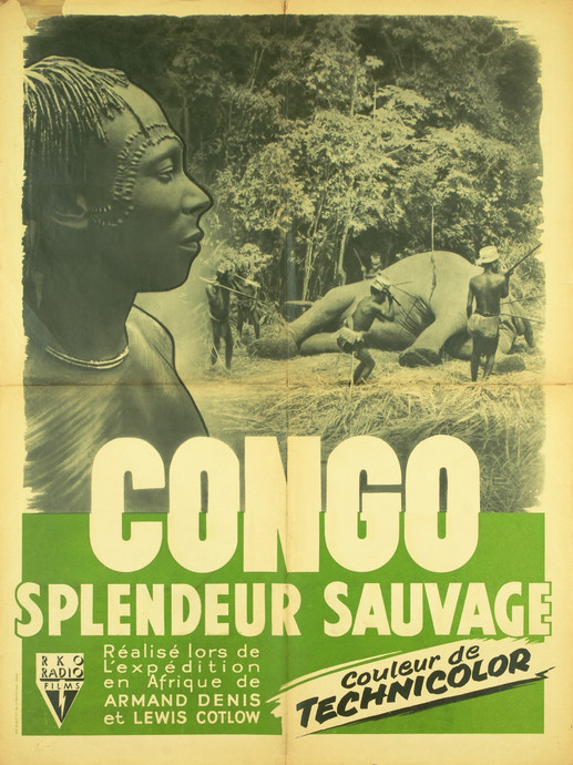 Congo, splendeur sauvage