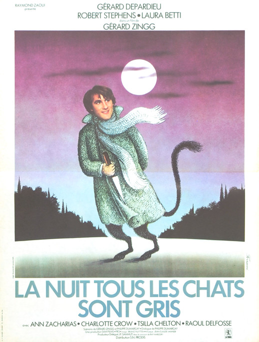 La Nuit tous les Chats sont gris