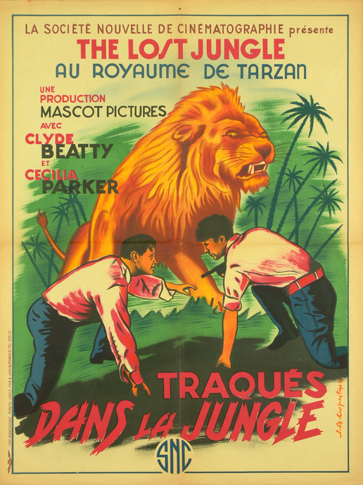 Traqués dans la jungle