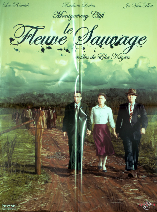 Le Fleuve sauvage