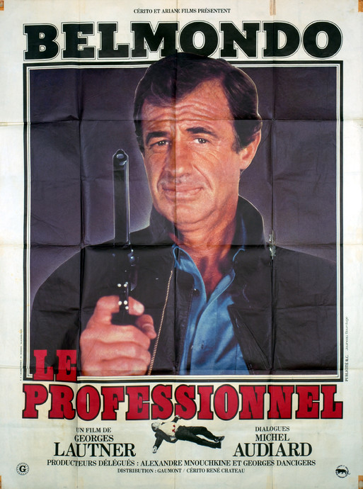 Le Professionnel