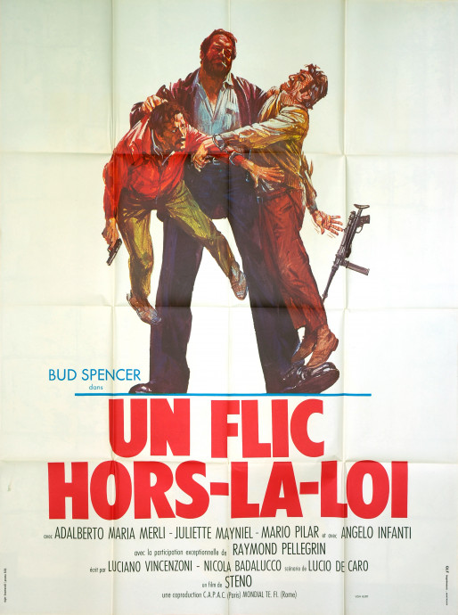 Un Flic hors-la-loi