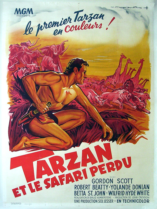 Tarzan et le Safari Perdu