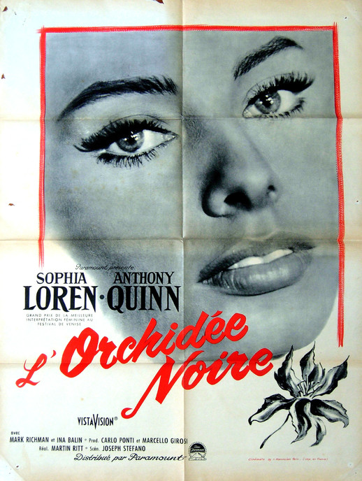 L'Orchidée noire