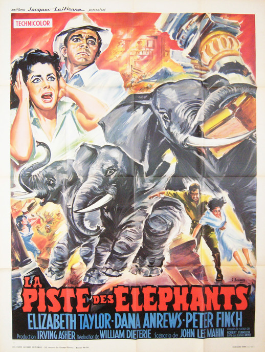 La Piste des Eléphants